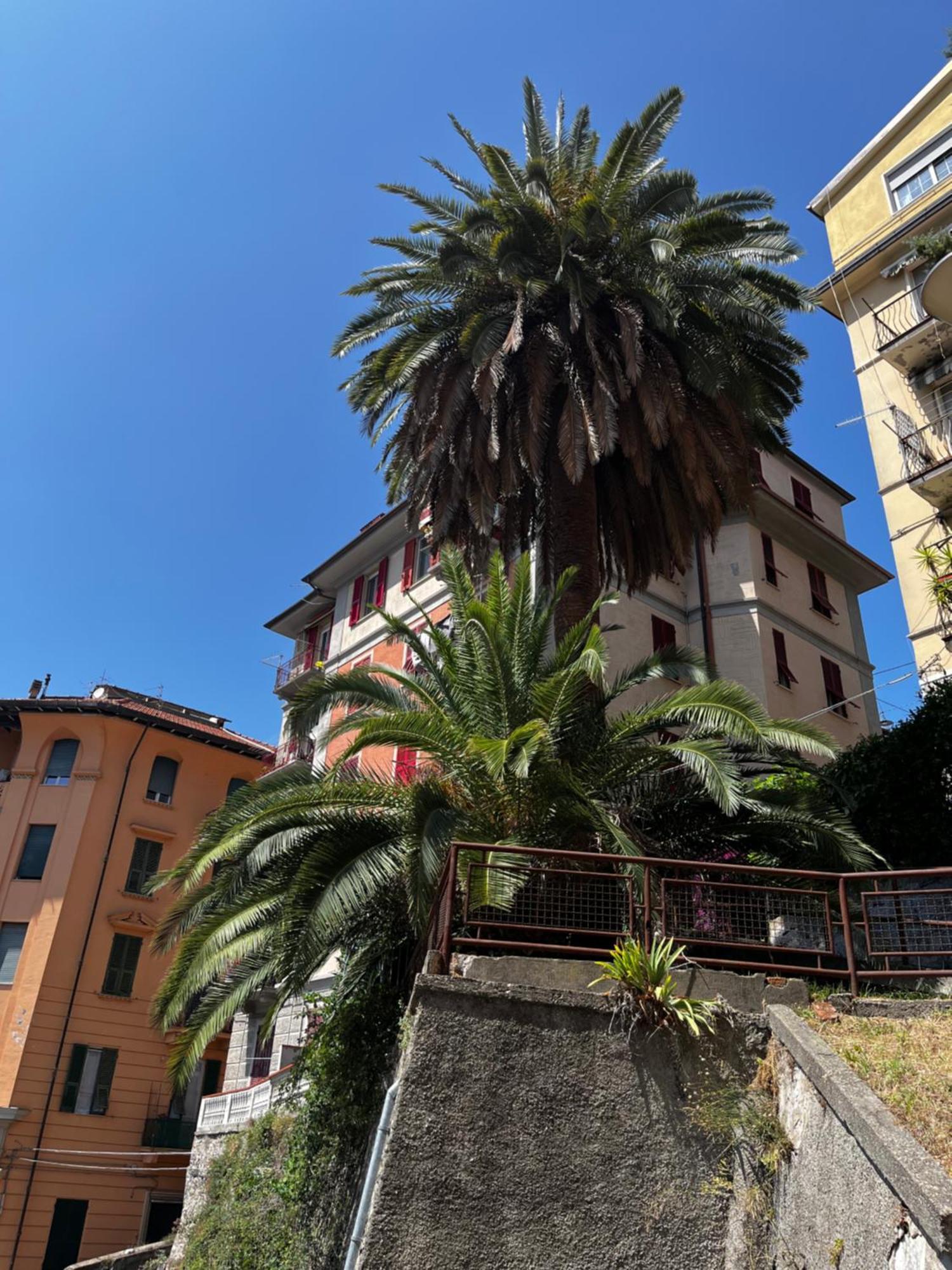 Appartamento Donna Lucrezia La Spezia Esterno foto